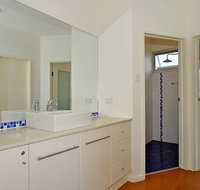Seagulls at Hayborough - Accommodation Tasmania