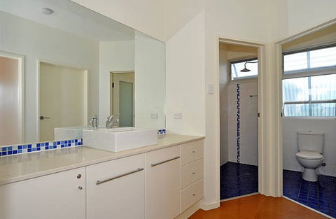 Seagulls At Hayborough - Accommodation Tasmania 0
