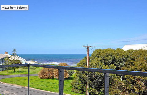 Seagulls At Hayborough - Accommodation Tasmania 8