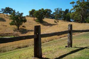 Adelaide Hills Country Cottages - Gum Tree Cottage - Accommodation Tasmania 4