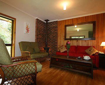 The Canopy Rainforest Tree Houses And Wildlife Sanctuary - Accommodation Tasmania 1