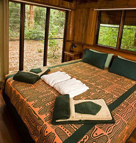 The Canopy Rainforest Tree Houses And Wildlife Sanctuary - Accommodation Tasmania 2