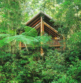 The Canopy Rainforest Tree Houses And Wildlife Sanctuary - Accommodation Tasmania 5