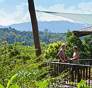 Rose Gums Wilderness Retreat - Accommodation Tasmania