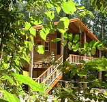 Rivers Edge Rainforest Retreat - Accommodation Tasmania