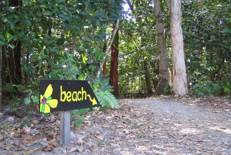 Cape Tribulation Camping - Accommodation Tasmania 2