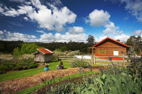 Elvenhome Farm Cottage - Accommodation Tasmania 6