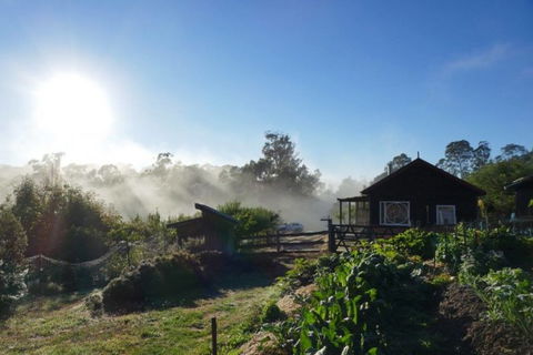 Elvenhome Farm Cottage - Accommodation Tasmania 9