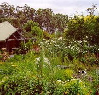 Plovers Ridge Country Retreat - Accommodation Tasmania