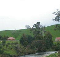 Tin Dragon Trail Cottages - Accommodation Tasmania