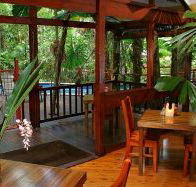 Daintree Wilderness Lodge - Accommodation Tasmania