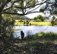 Newry Park Cottage - Accommodation Tasmania