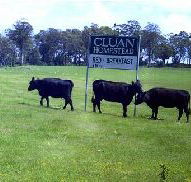 Cluan Homestead - The Managers Residence - Accommodation Tasmania