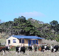 Marrawah Beach House - Accommodation Tasmania