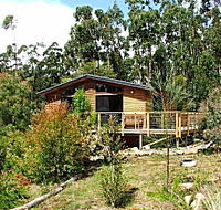 Southern Forest Accommodation - Accommodation Tasmania