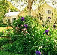 Panshanger - Accommodation Tasmania