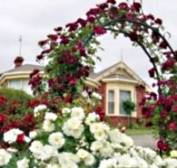 Golden Embers Apartments and B and B - Accommodation Tasmania