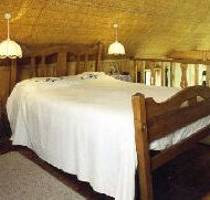 Forget-Me-Not Cottage - Accommodation Tasmania