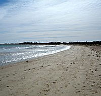 Greens Beach Caravan Park - Accommodation Tasmania