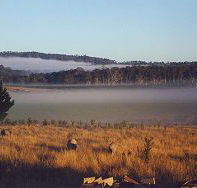 Fonthill - Accommodation Tasmania