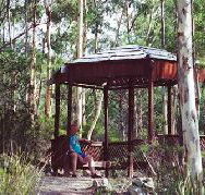 Telopea - Accommodation Tasmania