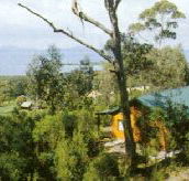Partridge Farm - Accommodation Tasmania