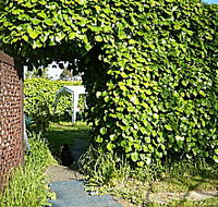 Kirra Guest House - Accommodation Tasmania