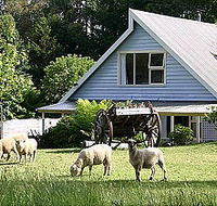 Hide-Away Cottage Retreat - Accommodation Tasmania