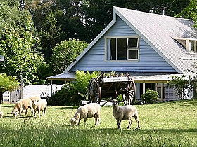 Hide-Away Cottage Retreat - Accommodation Tasmania 0