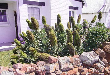 Lester Cottages Complex - Accommodation Tasmania 2
