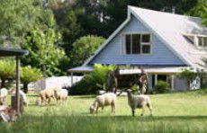 Hide-Away Cottage Retreat - Accommodation Tasmania 2