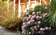 Ormiston House - thumb 3