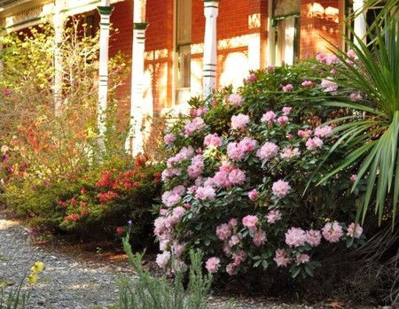 Ormiston House - Accommodation Tasmania 3