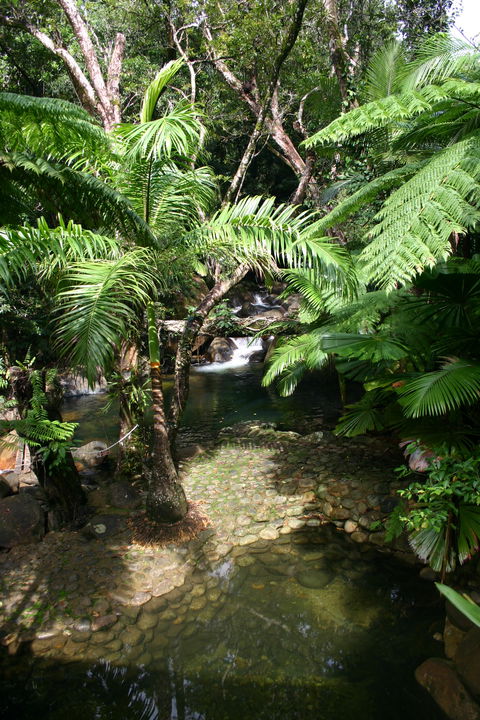 Daintree Secrets (Award Winning Retreat) - Accommodation Tasmania 4