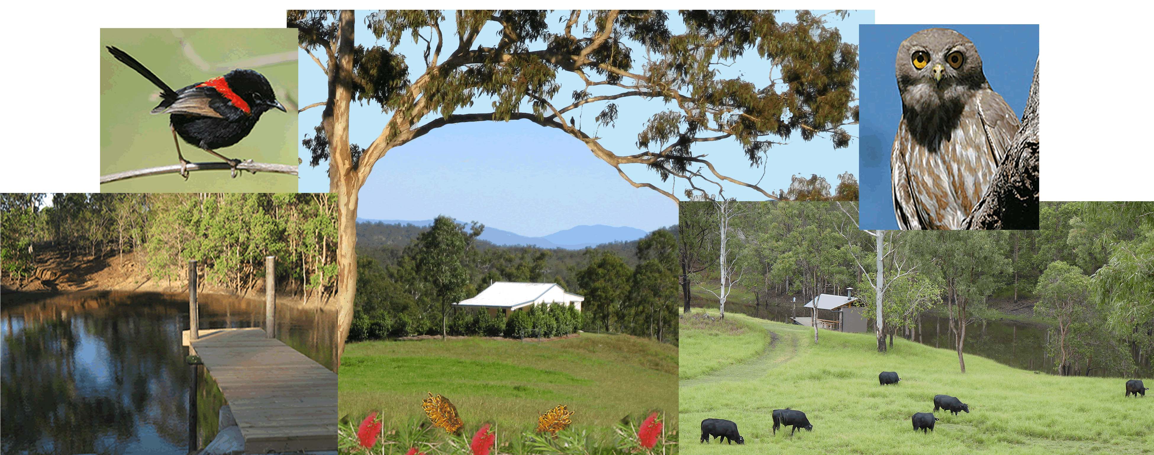Barking Owl Retreat - Accommodation Tasmania