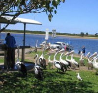 Mountain View Caravan and Mobile Home Village - Accommodation Tasmania