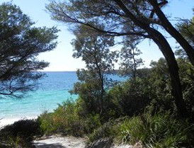 Booderee National Park: Bristol Point Camping Area - Accommodation Tasmania 2