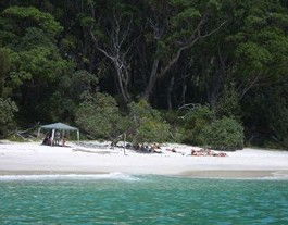 Booderee National Park: Bristol Point Camping Area - Accommodation Tasmania 3