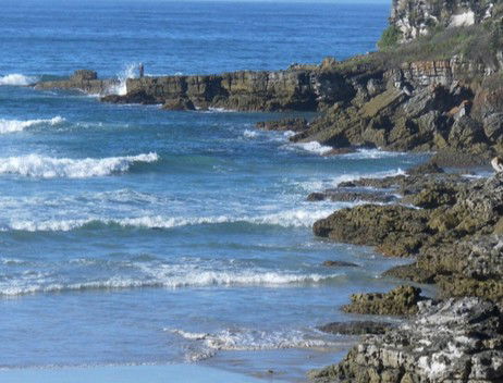 Booderee National Park: Cave Beach Camping Area - Accommodation Tasmania 2