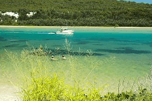 Wooli Camping and Caravan Park - Accommodation Tasmania