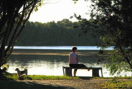 Fishing Haven Caravan Park - Accommodation Tasmania 2
