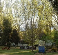 Snowy River Holiday Park - Accommodation Tasmania