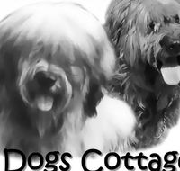 2 Dogs Cottages - Accommodation Tasmania