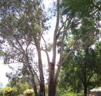 The Church House B and B - Accommodation Tasmania