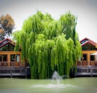 Perricoota Vines Retreat - Accommodation Tasmania
