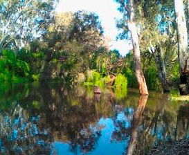 Wanganella Creek Camp Park - Accommodation Tasmania 1