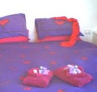 Aloomba Lavender - Accommodation - Accommodation Tasmania