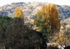 Timbumburi NSW Accommodation Tasmania