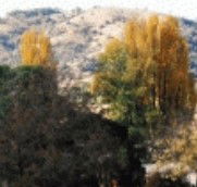 Birches Bed and Breakfast at Nundle - Accommodation Tasmania
