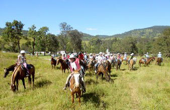 Camp Cobark - Accommodation Tasmania 0
